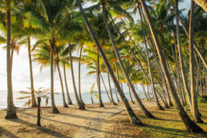 10 raisons romantiques pour une lune de miel à Palm Cove