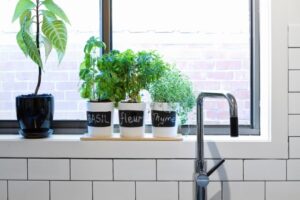 11 kits de jardin d'herbes aromatiques d'intérieur pour les verts toute l'année