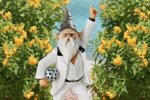 23 nains de jardin amusants pour apporter un peu d'humour dans votre jardin !