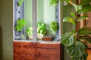 9 kits de potager d'intérieur pour une récolte urbaine à toute épreuve