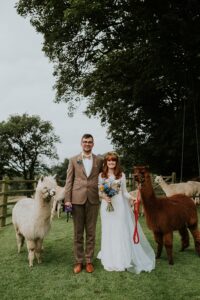 Coloré jaune et bleu Caerhyn Farm Wedding & Cute Anim