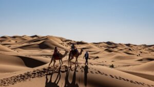 Comment organiser un mariage à destination à Marrakech [Best Locations & Most Important Info]
