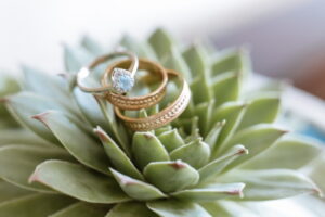 Comment utiliser les succulentes dans votre mariage