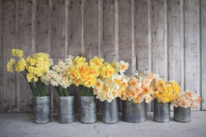 Weddingsonline.ie