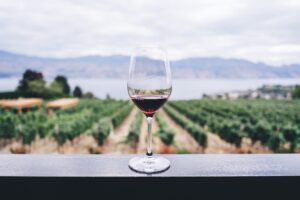 Guide de l'enterrement de vie de jeune fille |  Napa, Californie