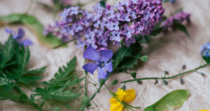 Pantone Color Of The Year 2022 Header Image Of Purple Flowers