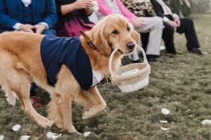 Le guide de commande de cérémonie de mariage simple