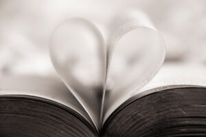 Livre de planification de mariage - OMG je me marie