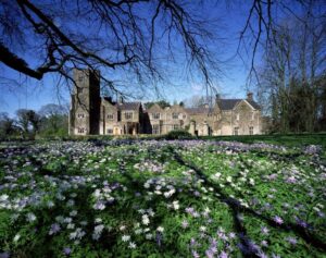 Maisons de campagne irlandaises pour les petits mariages