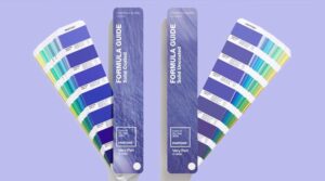 Pantone COULEUR ANTICIPÉE DE L'ANNÉE 2O22